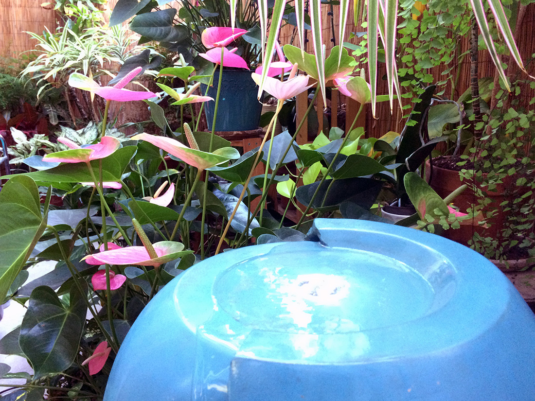 West LA Pilates solarium water fountain and flowers